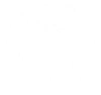 Home and Hive