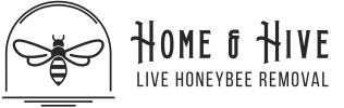 Home and Hive